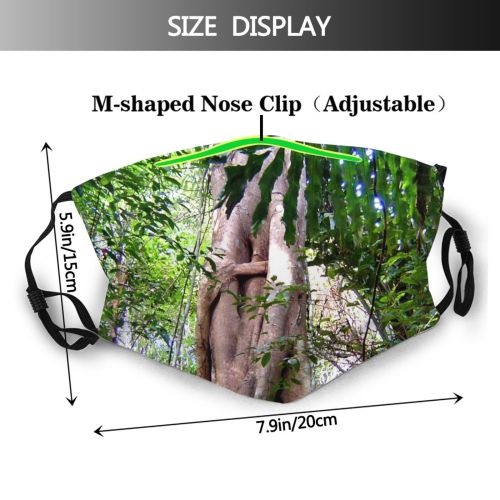 yanfind Plant Arnold Tree Tree Deryck Plant Forest Jungle Terrestrial Old Growth Jungle Dust Washable Reusable Filter and Reusable Mouth Warm Windproof Cotton Face