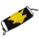 yanfind Maple Autumn Woody Leaves Maple Calm Fall Autumnal Plant Wood Plane Leaf   Dust Washable Reusable Filter and Reusable Mouth Warm Windproof Cotton Face