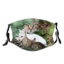 yanfind Brothers Garden Mother Little Cat Kitty Cute Wildlife Nursing Stray Autumn Feed Dust Washable Reusable Filter and Reusable Mouth Warm Windproof Cotton Face