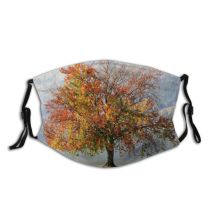 yanfind Natural Atmospheric Autumn Woody Colourful Landscape Sky Plant Fall Branch Leaf Tree Dust Washable Reusable Filter and Reusable Mouth Warm Windproof Cotton Face