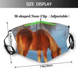 yanfind Grazing Vertebrate Mare Mustang Horse Sorrel Pony Horse Mane Dust Washable Reusable Filter and Reusable Mouth Warm Windproof Cotton Face