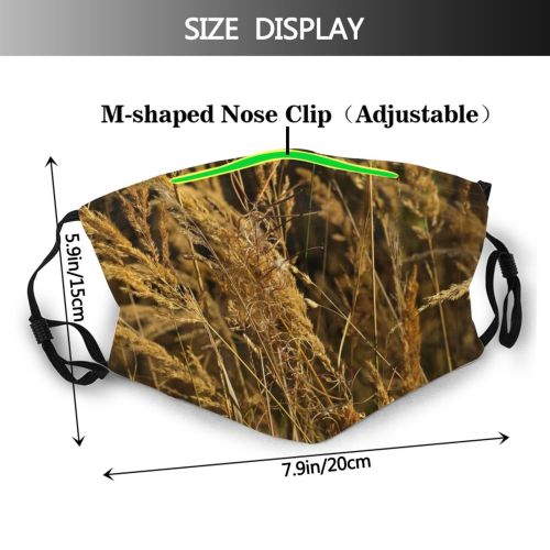 yanfind Field Summer Grain Grass Culms Meadow Herbage Plant Family Stalk Culm Golden Dust Washable Reusable Filter and Reusable Mouth Warm Windproof Cotton Face