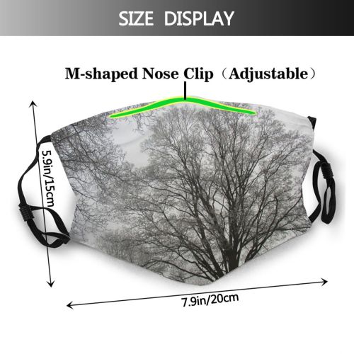 yanfind Winter Frost Natural Atmospheric Woody Netherlands Landscape Sky Plant Comp Branch Tree Dust Washable Reusable Filter and Reusable Mouth Warm Windproof Cotton Face