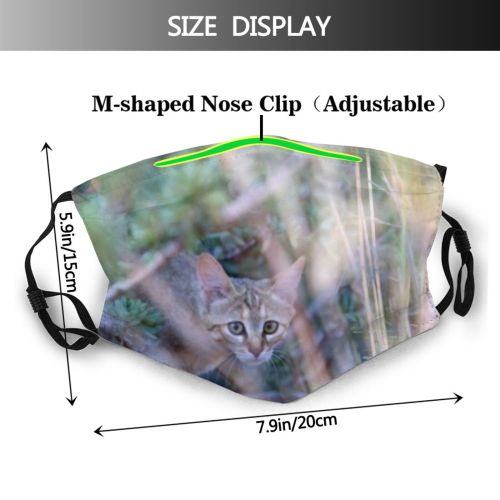 yanfind Garden Destination Fur Young Cat Kitty Cute Carnivore Wildlife Summer Scenic Beautiful Dust Washable Reusable Filter and Reusable Mouth Warm Windproof Cotton Face