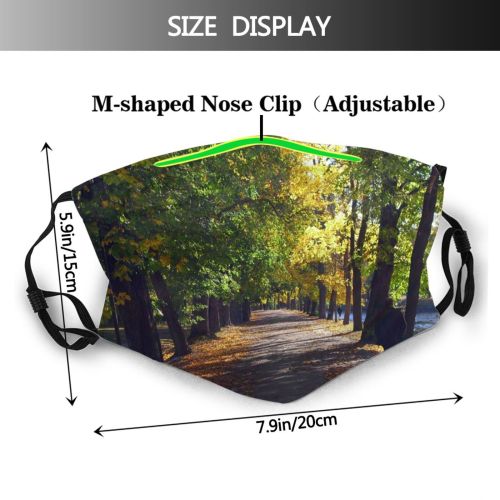 yanfind Deciduous Leaf Sunlight Landscape Leaf Tree Tree Stockholm Light Natural Autumn Autumn Dust Washable Reusable Filter and Reusable Mouth Warm Windproof Cotton Face