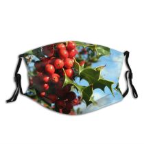 yanfind Flowering Holly Plant Flower Berry Tree Christmas Plant Tree Fruit Woody Season Dust Washable Reusable Filter and Reusable Mouth Warm Windproof Cotton Face