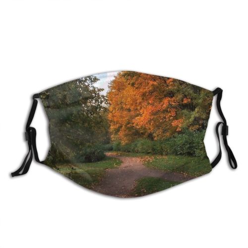 yanfind Leafs Deciduous Path Landscape Leaf Trees Sunlight Tree Plant Forest Autumn Natural Dust Washable Reusable Filter and Reusable Mouth Warm Windproof Cotton Face