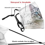 yanfind Isolated Fur Young Striped Cat Kitty Cute Beautiful Sweet Face Pretty Pet Dust Washable Reusable Filter and Reusable Mouth Warm Windproof Cotton Face
