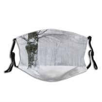 yanfind Winter Path Winter Natural Atmospheric Branches Landscape Fence Branch Snow Horizon Tree Dust Washable Reusable Filter and Reusable Mouth Warm Windproof Cotton Face
