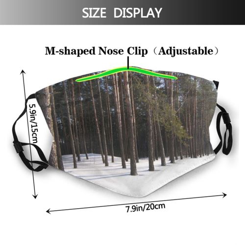 yanfind Winter Show Winter Natural Wood Spruce Snow Pine Forest Hardwood Northern Tree Dust Washable Reusable Filter and Reusable Mouth Warm Windproof Cotton Face