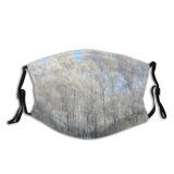 yanfind Winter Morning Natural Atmospheric Grey Landscape Sky Light City Clouds Tree Darkness Dust Washable Reusable Filter and Reusable Mouth Warm Windproof Cotton Face