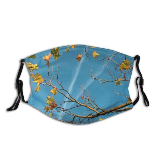 yanfind Flowering Sky Plant Leaf Twig Spring Tree Tree Branch Plant Autumn Daytime Dust Washable Reusable Filter and Reusable Mouth Warm Windproof Cotton Face