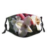 yanfind Flowering Flower Cattleya Orchid Terrestrial Plant Orchids Plant Petal Philippines Flower Dust Washable Reusable Filter and Reusable Mouth Warm Windproof Cotton Face
