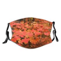 yanfind Leafs Deciduous Forest Maple Leaf Hardwood Leaf Maple Plant Northern Tree Autumn Dust Washable Reusable Filter and Reusable Mouth Warm Windproof Cotton Face