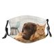 yanfind Friends Lovely Whisker Fur Together Cat Kitty Cute Doggie Resting Friendly Dog   Dust Washable Reusable Filter and Reusable Mouth Warm Windproof Cotton Face