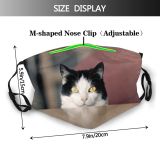 yanfind Happiness Fur Life Young Striped Cat Kitty Cute Hungry Staring Room Watching Dust Washable Reusable Filter and Reusable Mouth Warm Windproof Cotton Face