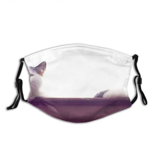 yanfind Gracie Felidae Sized Sky Kitten Carnivore Cat Sky Angora Ragdoll Whiskers Medium Dust Washable Reusable Filter and Reusable Mouth Warm Windproof Cotton Face