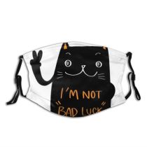 yanfind Fur Friday Halloween Hunter Cat Young Cute Bad Number Luck Scared Spooky Dust Washable Reusable Filter and Reusable Mouth Warm Windproof Cotton Face