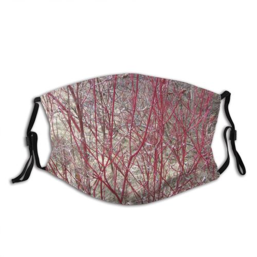 yanfind Texture Plant Spring Death Twig Tree Flower Branch Plant Stem Winter Sadness Dust Washable Reusable Filter and Reusable Mouth Warm Windproof Cotton Face