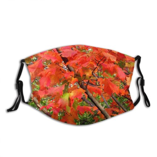 yanfind Maple Woody Leaves Maple Plant Fall Flower Flowering Leaf Tree Autumn Seasons Dust Washable Reusable Filter and Reusable Mouth Warm Windproof Cotton Face