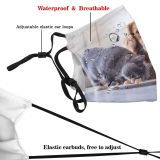 yanfind Company Lovely Intermission Cat Sharing British Pure Shorthair Friendly Dog Along Interesting Dust Washable Reusable Filter and Reusable Mouth Warm Windproof Cotton Face