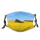 yanfind Blossom Sky Spring Flower Flora Plant Oil Europe Sun Rape Czech Rural Dust Washable Reusable Filter and Reusable Mouth Warm Windproof Cotton Face