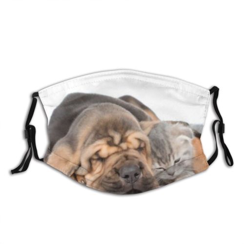 yanfind Friends Isolated Thoroughbred Young Relations Together Little Cat Relationship Cute Newborn Friendly Dust Washable Reusable Filter and Reusable Mouth Warm Windproof Cotton Face