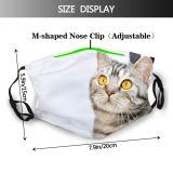 yanfind Isolated Fur Young Cat Kitty British Cute Office Shorthair Pet Studio Eyes Dust Washable Reusable Filter and Reusable Mouth Warm Windproof Cotton Face