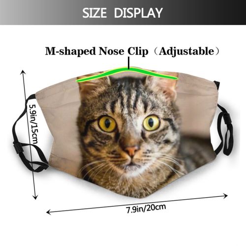 yanfind Energetic Affectionate Whisker Fur Kitty Cute Affection Active Grey Bonding Vintage Relax Dust Washable Reusable Filter and Reusable Mouth Warm Windproof Cotton Face