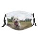 yanfind Highland Dog Cairn Walk Canidae Dog West Carnivore Park Terrior Sky West Dust Washable Reusable Filter and Reusable Mouth Warm Windproof Cotton Face