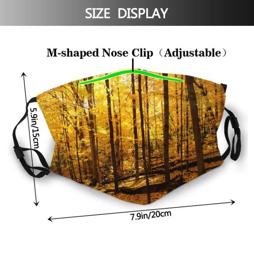yanfind Temperate Tranquil Sky Natural Idyllic Beauty Sun Autumn Branches Happiness Leaves Landscape   Dust Washable Reusable Filter and Reusable Mouth Warm Windproof Cotton Face