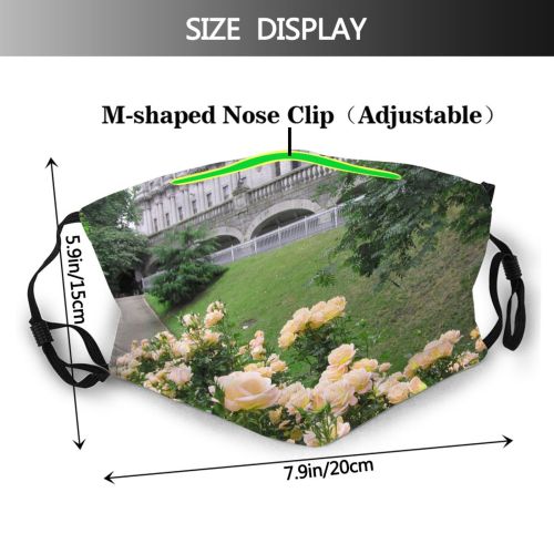 yanfind Flower Spring Grey Plant Classic City Flower Flowering Rose Rose Roses Stone Dust Washable Reusable Filter and Reusable Mouth Warm Windproof Cotton Face
