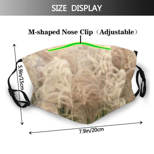 yanfind Grasses Grass Browns Seeds Plant Filaments Stems Seed Pods Family Fecund Clematis Dust Washable Reusable Filter and Reusable Mouth Warm Windproof Cotton Face