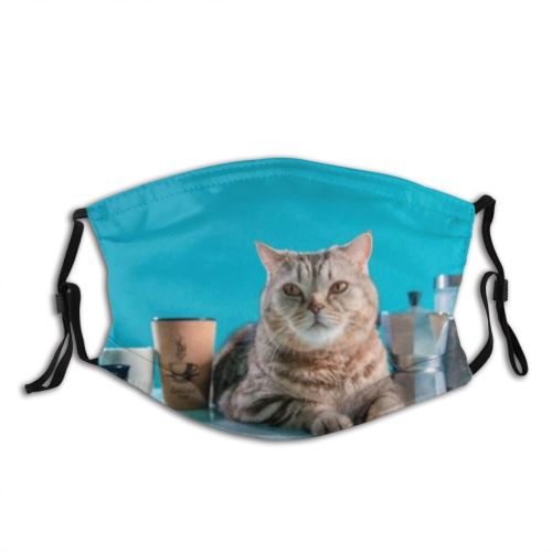 yanfind Interested Fur Young Emotional Striped Cat Kitty British Beans Comic Cute Shorthair Dust Washable Reusable Filter and Reusable Mouth Warm Windproof Cotton Face