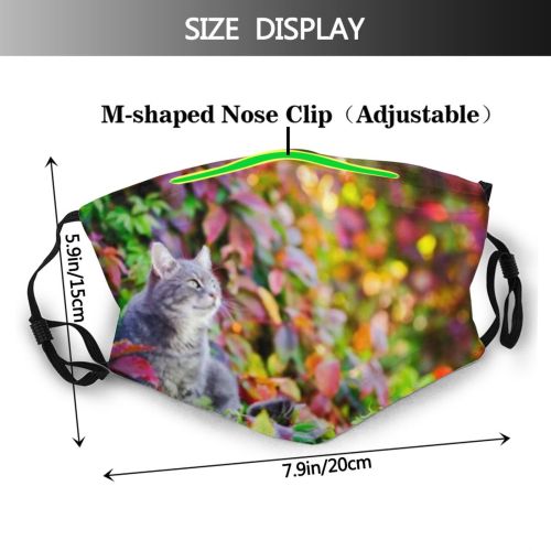 yanfind Garden Fur Hunter Young Striped Cat Cute Wildlife Sunny Autumn Vibrissae Friend Dust Washable Reusable Filter and Reusable Mouth Warm Windproof Cotton Face
