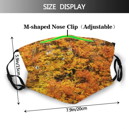 yanfind Trunk Natural Woody Leaves Landscape Vegetation Plant Leaf Forest Leaf Tree Tree Dust Washable Reusable Filter and Reusable Mouth Warm Windproof Cotton Face