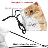 yanfind Isolated Fur Young Little Cat Kitty Cute Striped Carnivore Shorthair Purr Household Dust Washable Reusable Filter and Reusable Mouth Warm Windproof Cotton Face