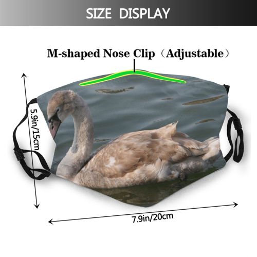 yanfind Winter Ducks Regal Beak Feather Geese Vertebrate Duck Swans Waterfowl Bird Lakes Dust Washable Reusable Filter and Reusable Mouth Warm Windproof Cotton Face