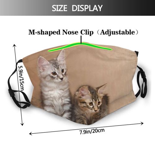 yanfind Comfortable Comfort Thoroughbred Fur Hunter Kuril Young Little Cat Kitty Cute Striped Dust Washable Reusable Filter and Reusable Mouth Warm Windproof Cotton Face
