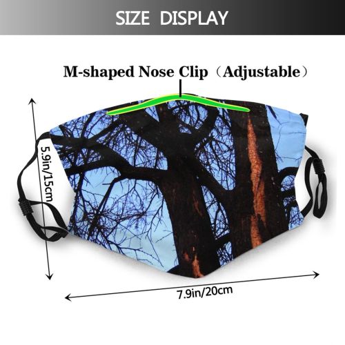 yanfind Spring Bark Sky Plant Sky Twig Tree Tree Branch Trunk Wood Plant Dust Washable Reusable Filter and Reusable Mouth Warm Windproof Cotton Face