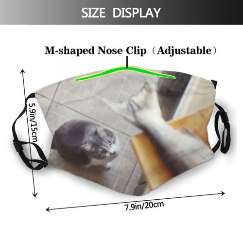 yanfind Chopping Dining Young Cat Board Cute Hungry Desire Licking Raw Grey Kitchen Dust Washable Reusable Filter and Reusable Mouth Warm Windproof Cotton Face