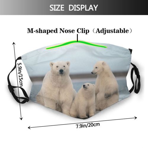 yanfind Kaktovik Slope Arctic Autumn Wild Island Rural Polar Scene Sandspit Snow Cub Dust Washable Reusable Filter and Reusable Mouth Warm Windproof Cotton Face