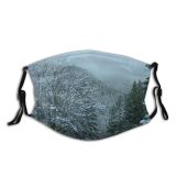 yanfind Winter Massif Winter Cap Polar Geological Ice Ice Snow Mountain Switzerland Tree Dust Washable Reusable Filter and Reusable Mouth Warm Windproof Cotton Face