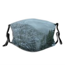 yanfind Winter Massif Winter Cap Polar Geological Ice Ice Snow Mountain Switzerland Tree Dust Washable Reusable Filter and Reusable Mouth Warm Windproof Cotton Face