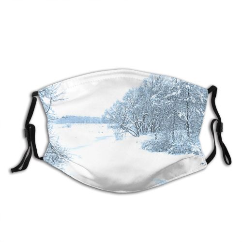 yanfind Winter Landscape Sky Tree Key Branch High Frost Winter Natural Freezing Atmospheric Dust Washable Reusable Filter and Reusable Mouth Warm Windproof Cotton Face