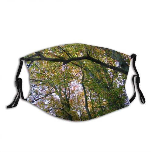 yanfind Zachodniopomorskie Temperate Natural Autumn Woody Landscape Plant Broadleaf Branch Poland Forest Leaf Dust Washable Reusable Filter and Reusable Mouth Warm Windproof Cotton Face