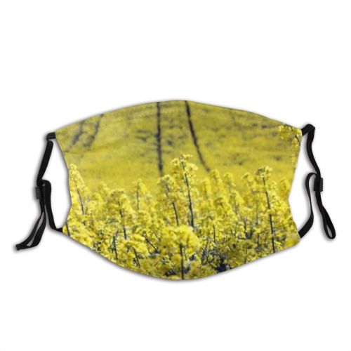 yanfind Blossom Happiness Hills Flower Rapeseed Sky Fun Spring Blooming Meadow Plant Oil Dust Washable Reusable Filter and Reusable Mouth Warm Windproof Cotton Face