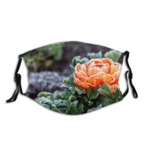 yanfind Ice Berkshire Frost Bloom Fragility Leaf Ranunculales Petal Foreground Flower Focus UK Dust Washable Reusable Filter and Reusable Mouth Warm Windproof Cotton Face