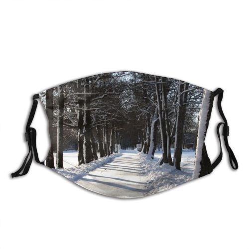 yanfind Winter Trail Winter Natural Woody Landscape Plant Branch Snow Road Tree Tree Dust Washable Reusable Filter and Reusable Mouth Warm Windproof Cotton Face