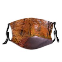yanfind HDR Driving Natural Autumn Tarmac October Landscape Fall Street Road Leaf Forest Dust Washable Reusable Filter and Reusable Mouth Warm Windproof Cotton Face